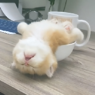 WWW,se217·COM网站APPAPP应用