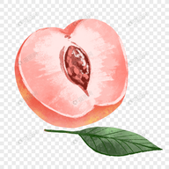 WWW,236pp·COM网站APPAPP应用